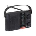 MINI RADIO PORTATILE TREVI RA 7F25BT MULTIBANDA WIRELESS MP3